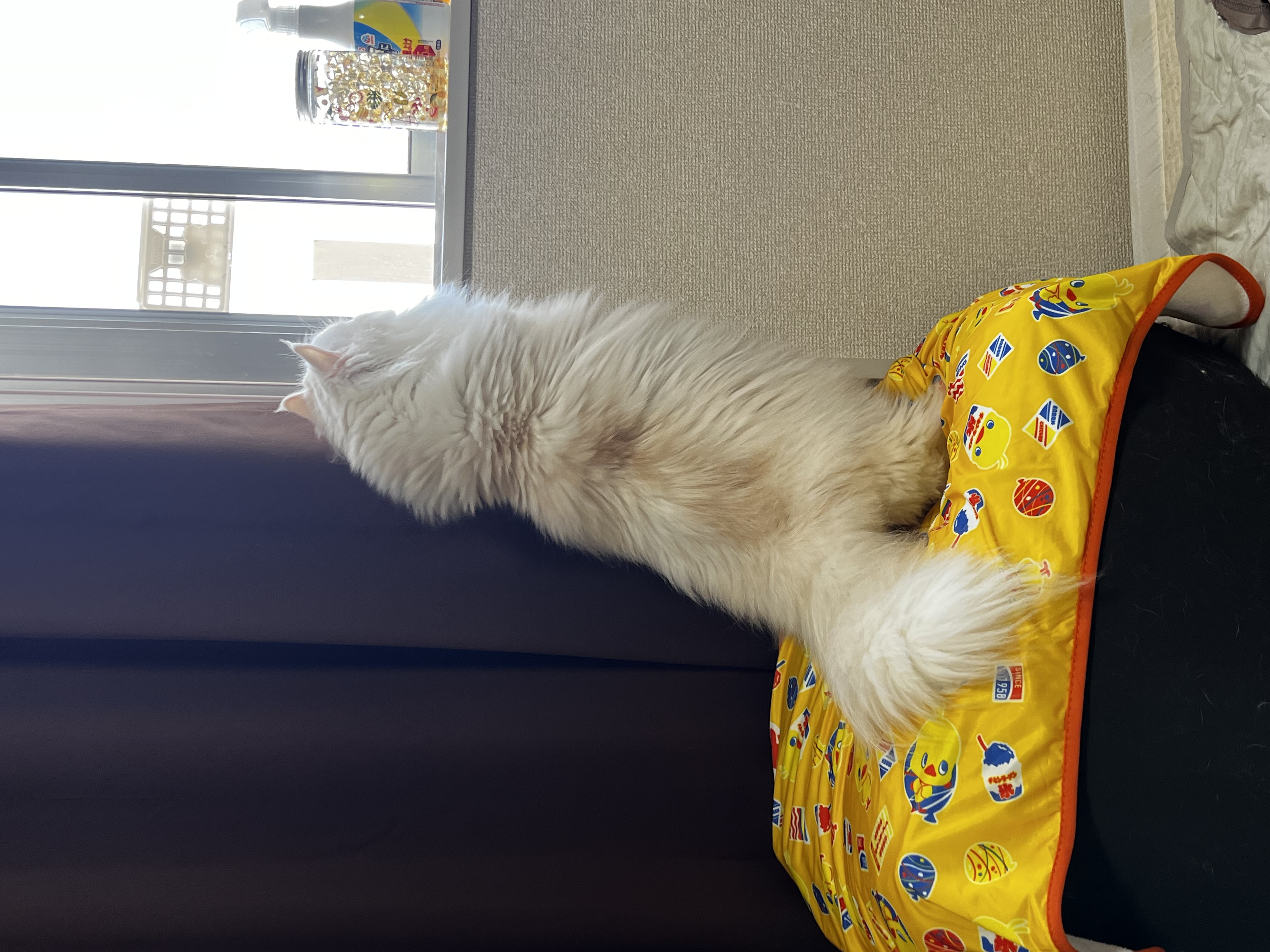 口コミ返信アップロード画像