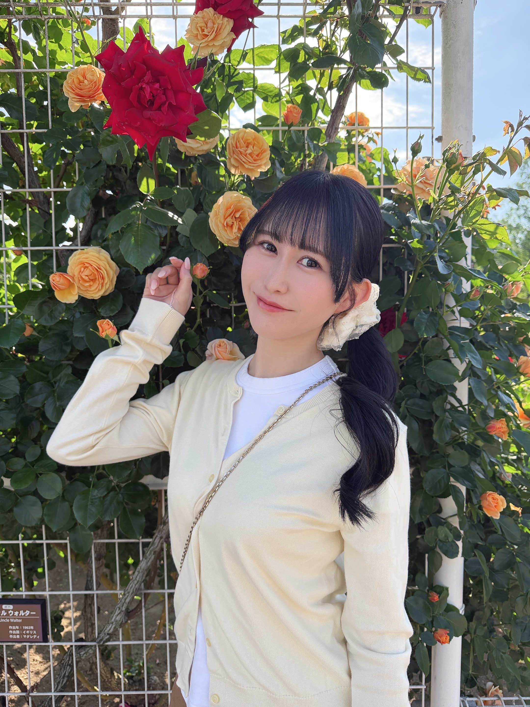 返信画像
