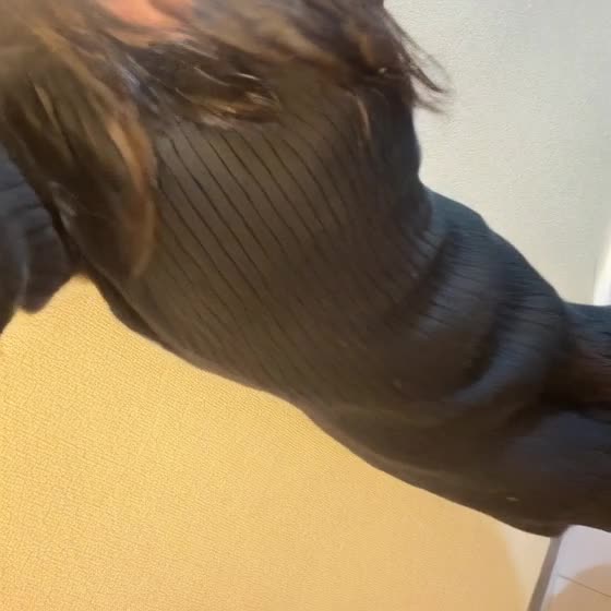 返信動画サムネイル