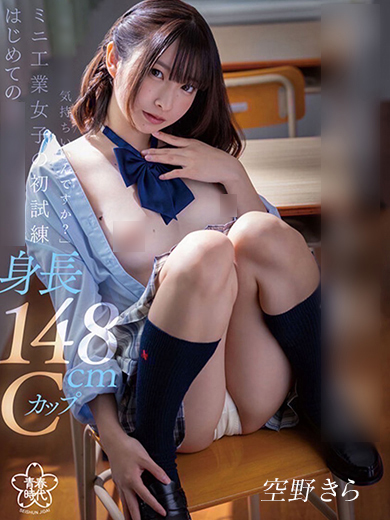 Tokyo Royal Escort 上门服务 SORANO KIRA