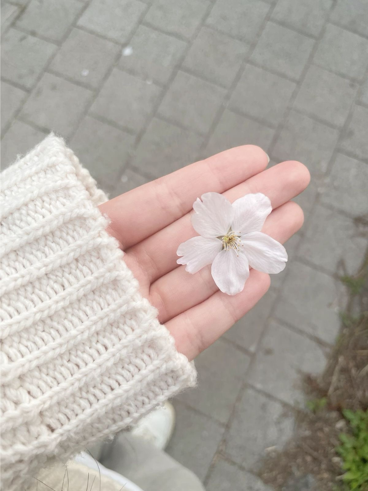 口コミ返信アップロード画像