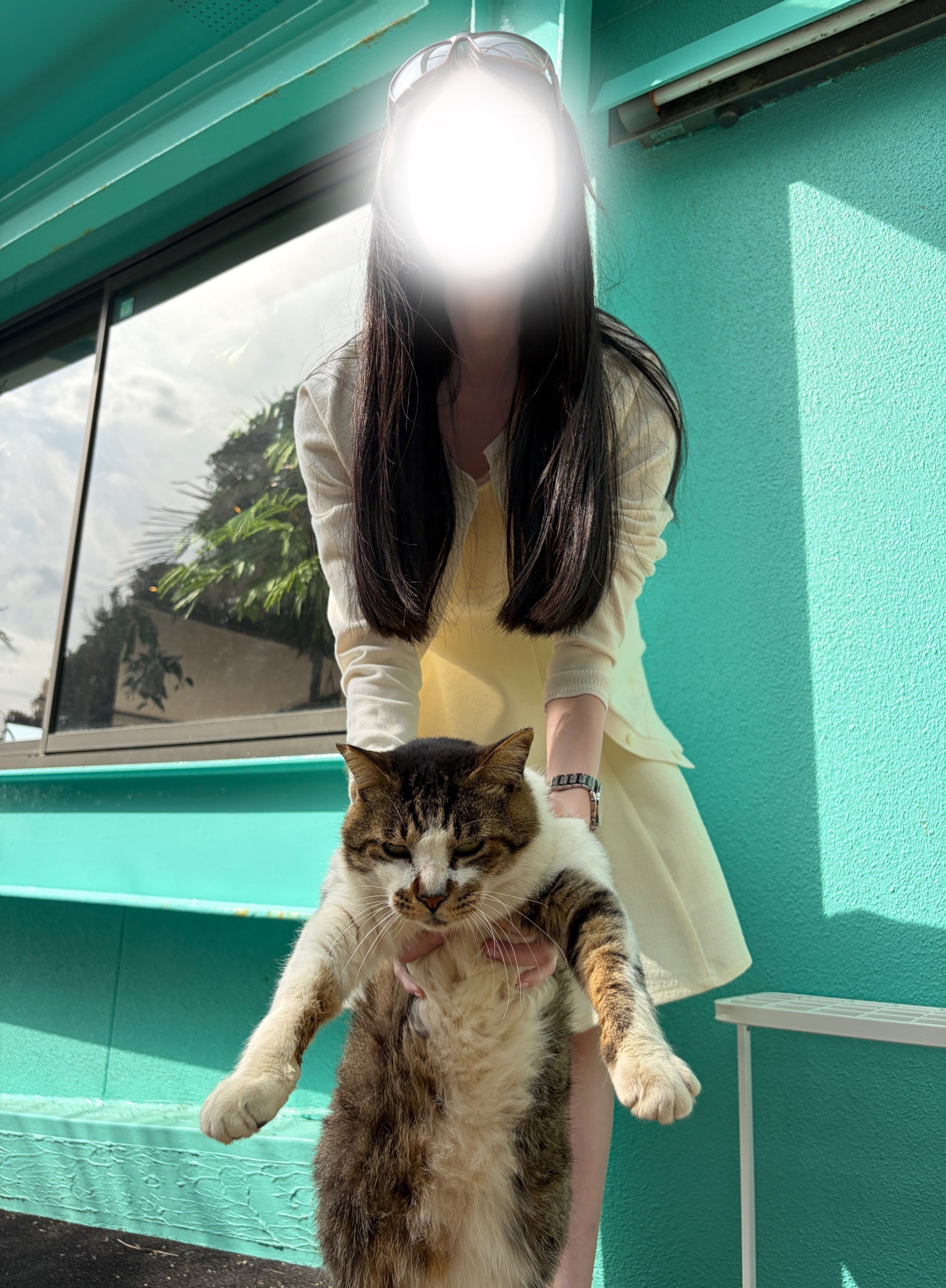 返信画像