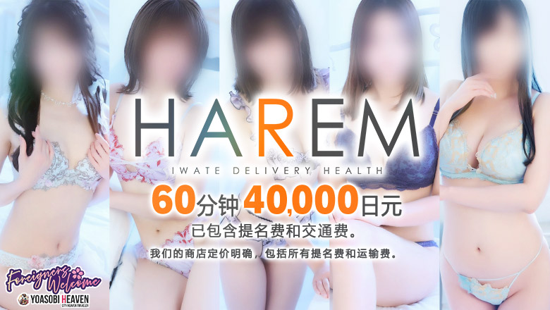 岩手县 北上 上门服务 HAREM