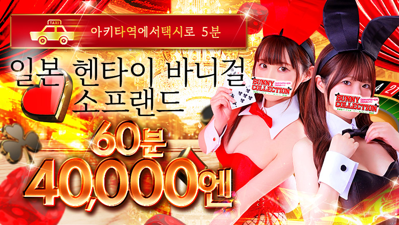akita 아키타 한국인 가능 소프랜드 バニーコレクション秋田店
