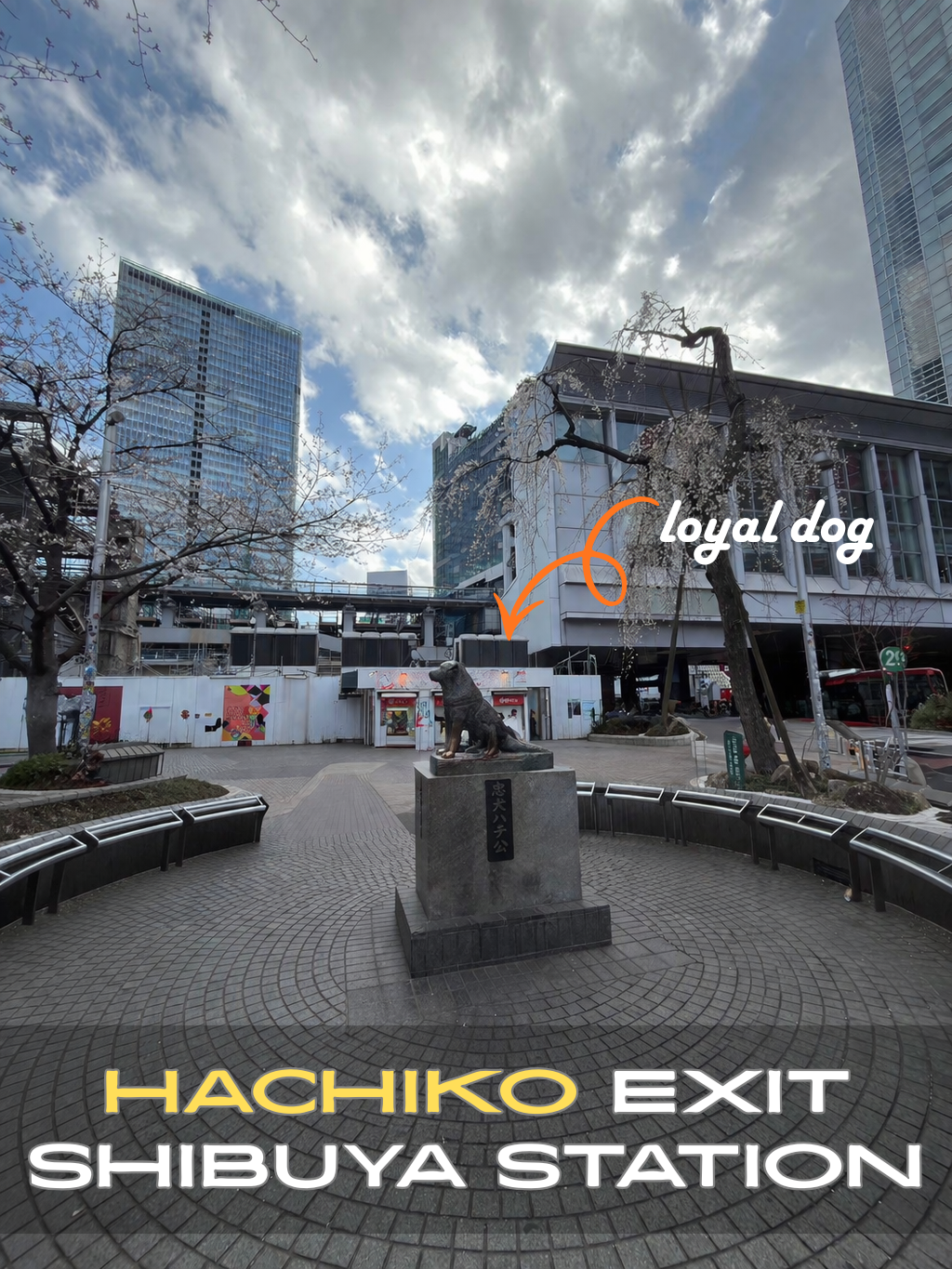 フリースペース画像