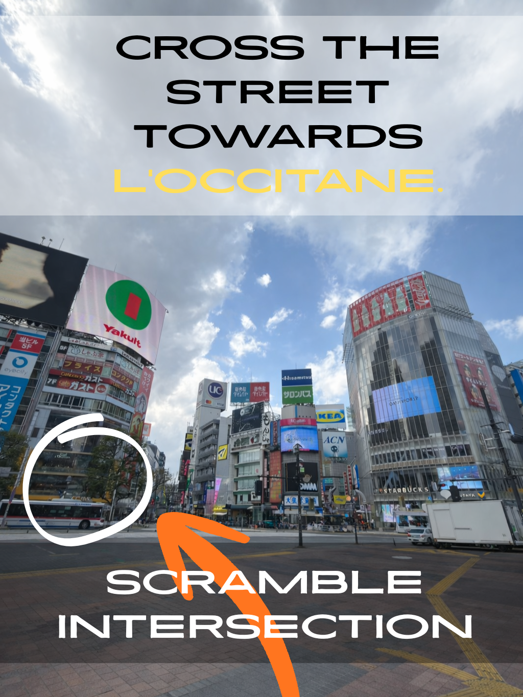 フリースペース画像