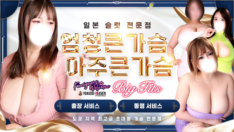 도쿄도 신주쿠・가부키초 데리헤루 BIGTITS