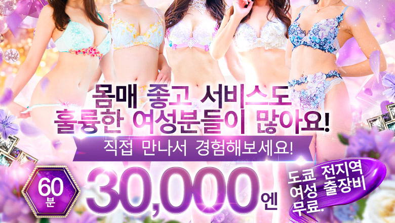 도쿄도 신주쿠・가부키초 데리헤루 TOKYO GEISHA GIRLS