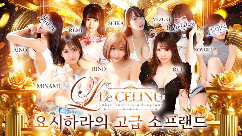 도쿄도 요시와라 한국인 가능 소프랜드 Le CELINU（ル・セリーヌ）