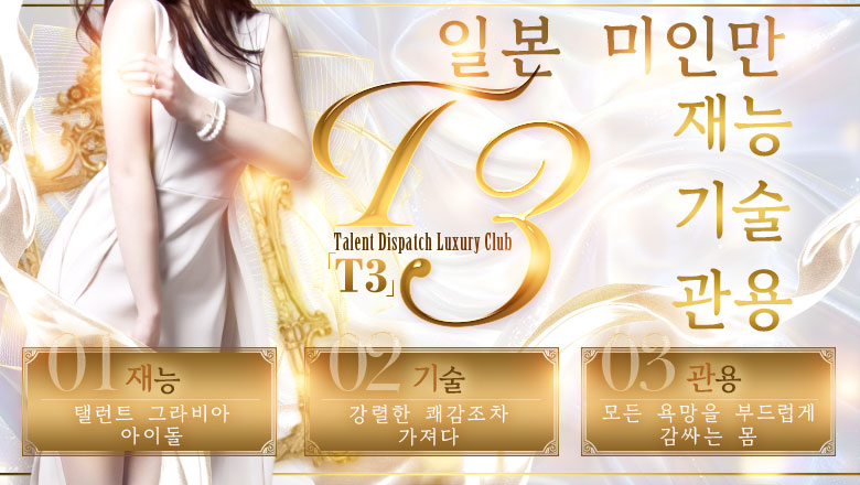 도쿄도 롯폰기・노기자카・니시아자부 데리헤루 T3