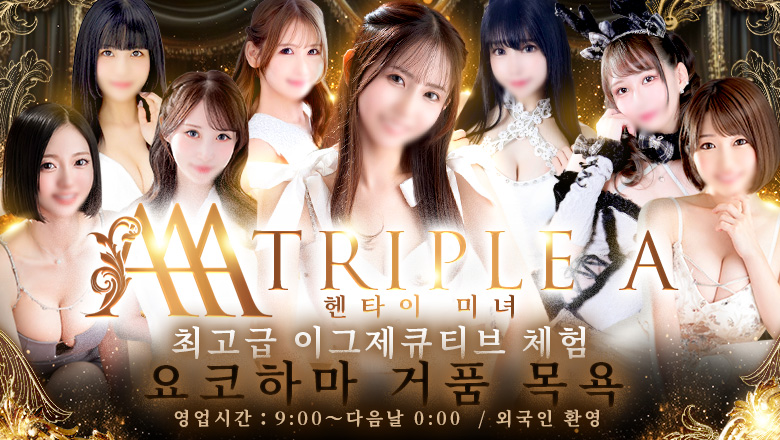 가나가와현 간나이・아케보노초・이세사키초 한국인 가능 소프랜드 トリプル・A