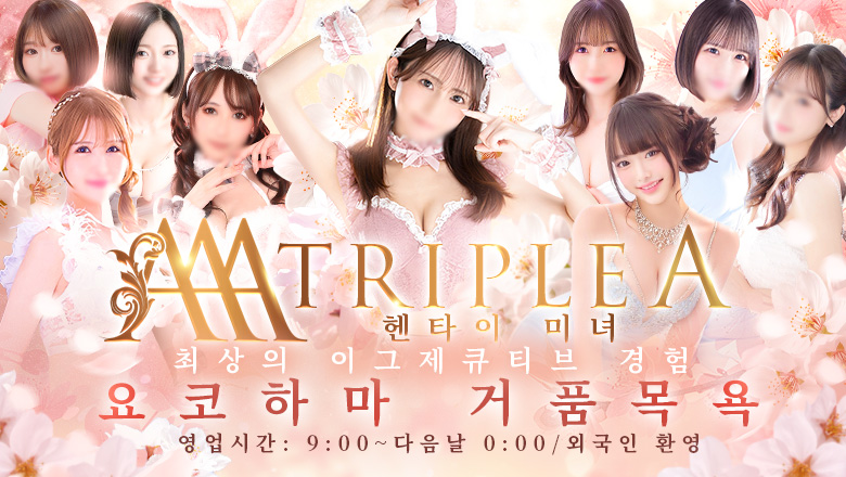 kanagawa 간나이・아케보노초・이세사키초 한국인 가능 소프랜드 トリプル・A