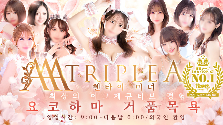 kanagawa 요코하마 한국인 가능 소프랜드 トリプル・A