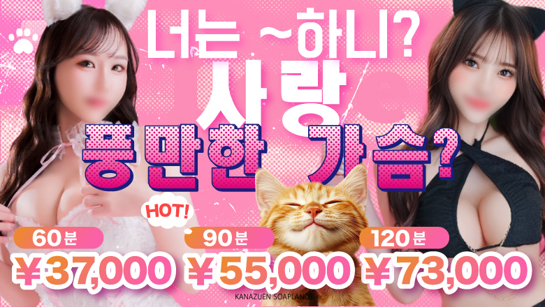 gifu 기후시 한국인 가능 소프랜드 ロマネ