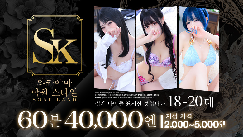 와카야마현 와카야마시 한국인 가능 소프랜드 SK