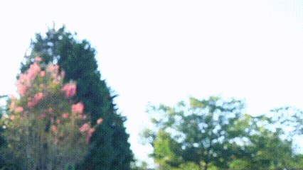 フリースペース画像