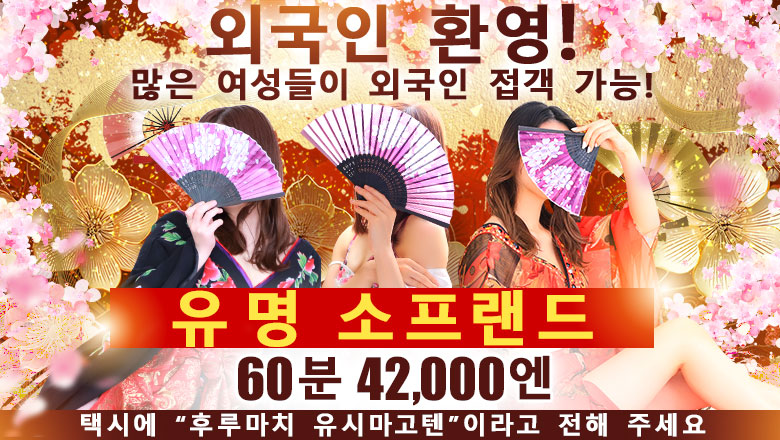 niigata 니가타시 한국인 가능 소프랜드 湯房　湯島御殿