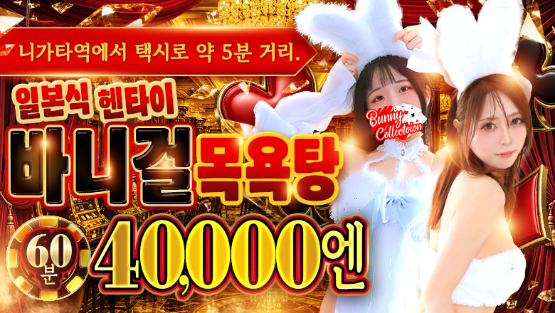 niigata 니가타시 한국인 가능 소프랜드 バニーコレクション