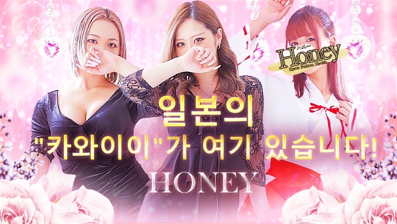 교토부 가와라마치・기야마치・폰토초 패션헬스 서비스 업소 Honey