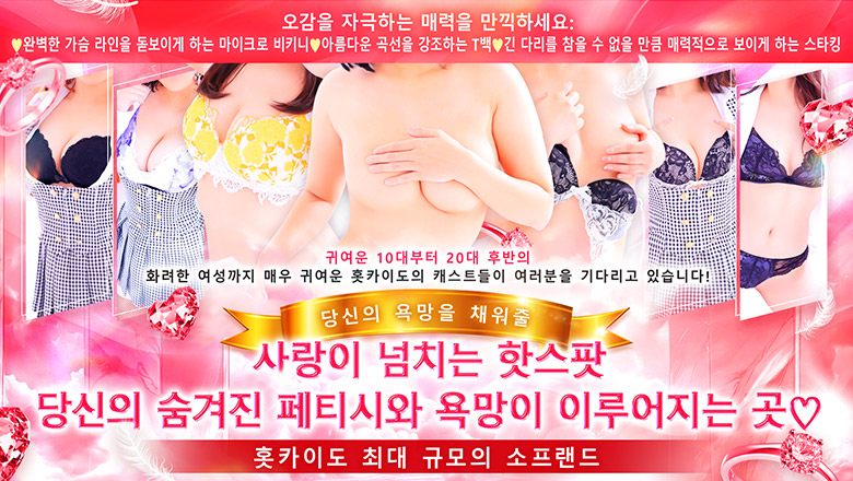 hokkaido 삿포로 한국인 가능 소프랜드 ラブファクトリー