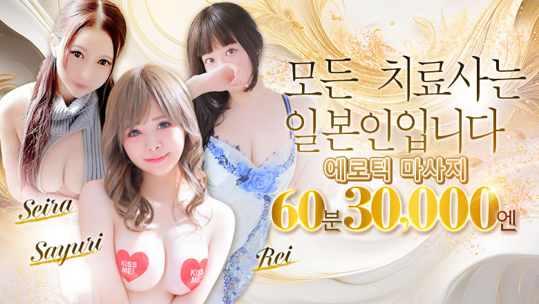 아이치현 나고야역 주변 (업소)에스테틱/퇴폐마사지 エルミタージュ