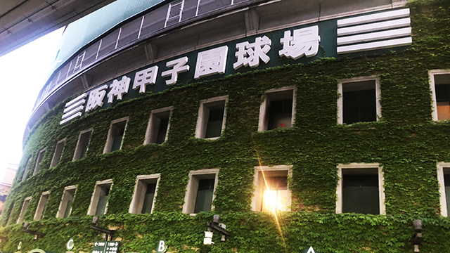 hyogo