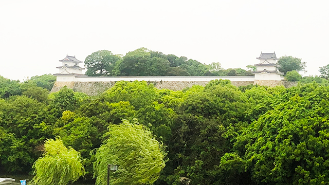 hyogo